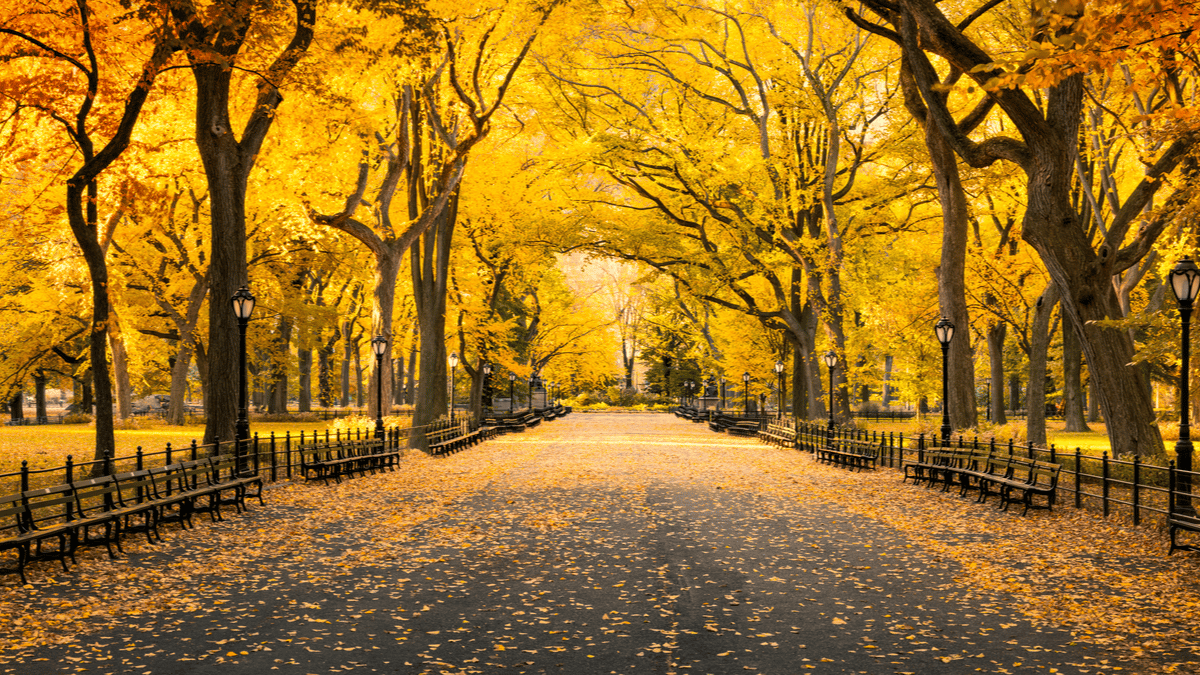 November in New York: weather and temperatures - Discover NYC